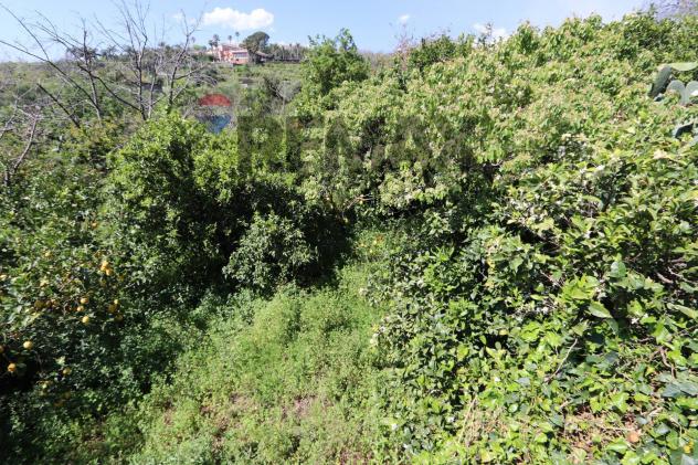 Terreno in vendita a Fiumefreddo di Sicilia - Foto 3