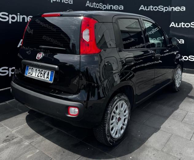 FIAT Panda 1.2 69cv S&S E6d-Temp Easy #5°posto #vetriprivacy - Foto 5