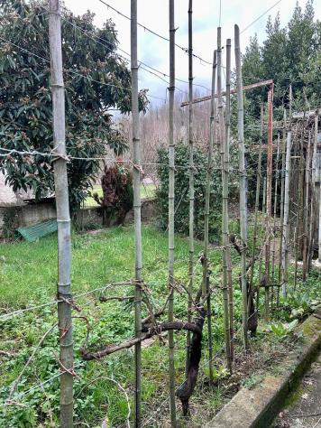 Casa semindipendente in vendita a Gassano - Fivizzano 110 mq Rif: 1304018 - Foto 3