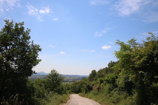 Bosco in vendita a Castegnero - Foto 20