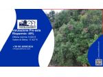 Immobile in asta di 11618 m² in vendita a Rivello