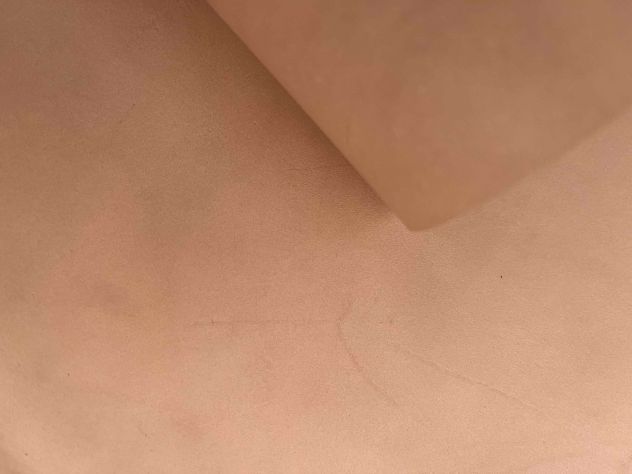 Scampoli pellame a vegetale naturale – D5 - Foto 6