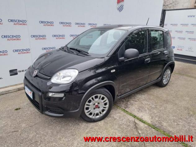 FIAT Panda 1.0 FireFly S&S Hybrid Pandina - AZIENDALE rif. 23794277 - Foto 3