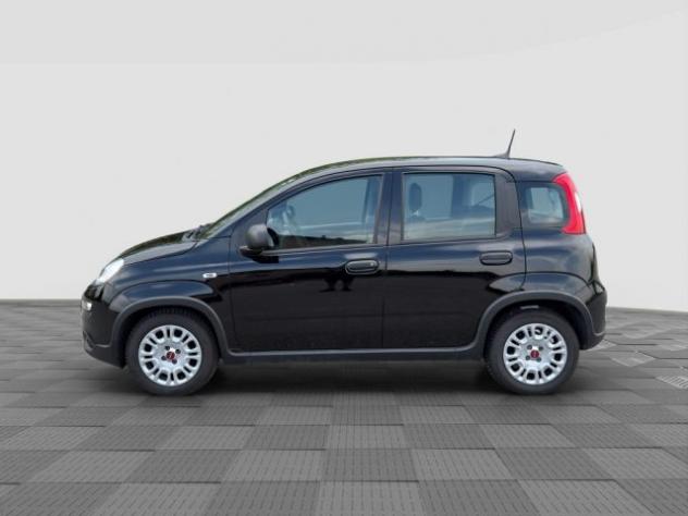 FIAT Panda Panda 1.0 FireFly S&S Hybrid rif. 24078706 - Foto 2