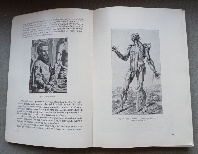 ANATOMIA PER GLI ARTISTI, Ed. F.lli Lega 1968. - Foto 4