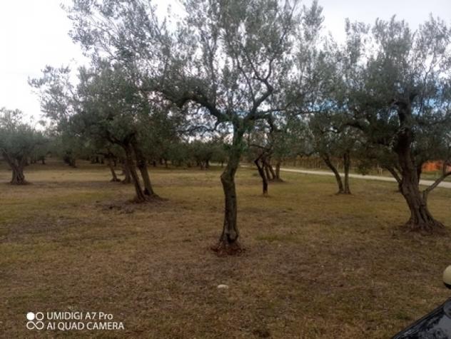 Rustico in vendita a Fossacesia - Foto 3