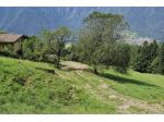 243/2024 25 BG - terreno in asta a  San Giovanni Bianco
