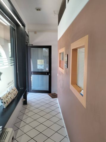 Toelettatura per cani - Foto 2