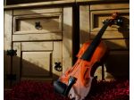 Duo pianista e violinista a Genova