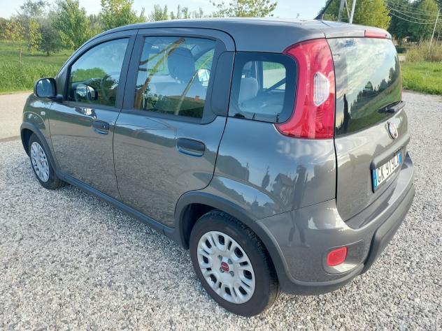 Fiat Panda 1.0 FireFly S&S Hybrid 5p 70cv - Foto 4