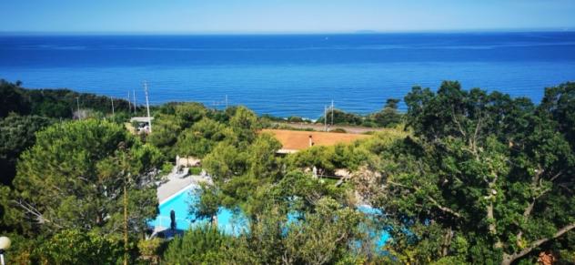 Castiglioncello bilocale con piscina