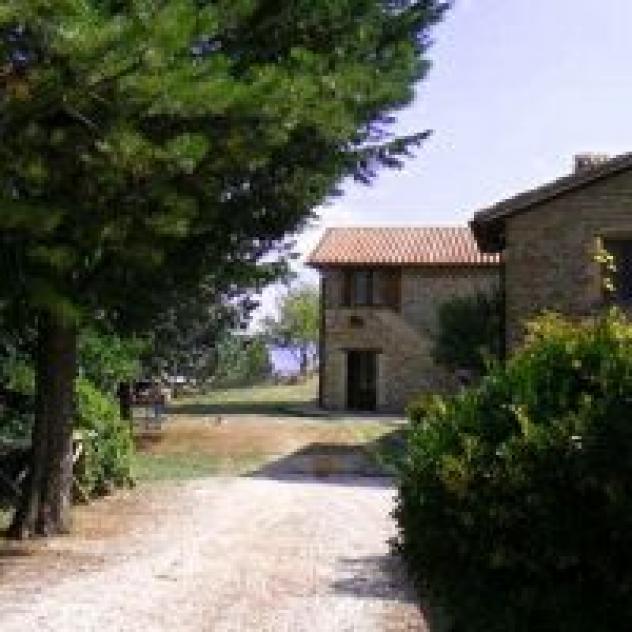 Azienda Agricola Daniela Balduchelli Salvi Marchetti - Foto 2