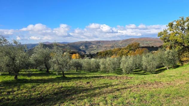 Azienda Agricola in vendita a Baschi - Foto 14