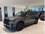 Hyundai Santa Fe 1.6 T-GDi HEV 4WD AT XClass Tetto Pelle 20” 7Posti