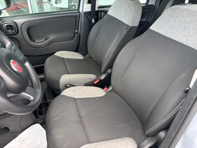 FIAT Panda 1.0 FireFly S&S Hybrid rif. 23452760 - Foto 10