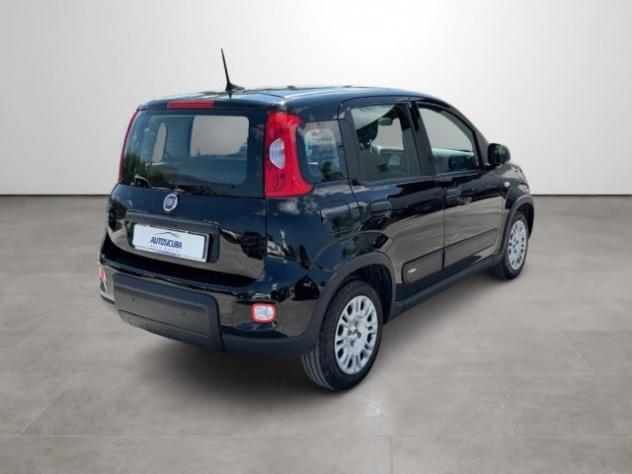 FIAT Panda 1.0 FireFly S&S Hybrid rif. 23891750 - Foto 4