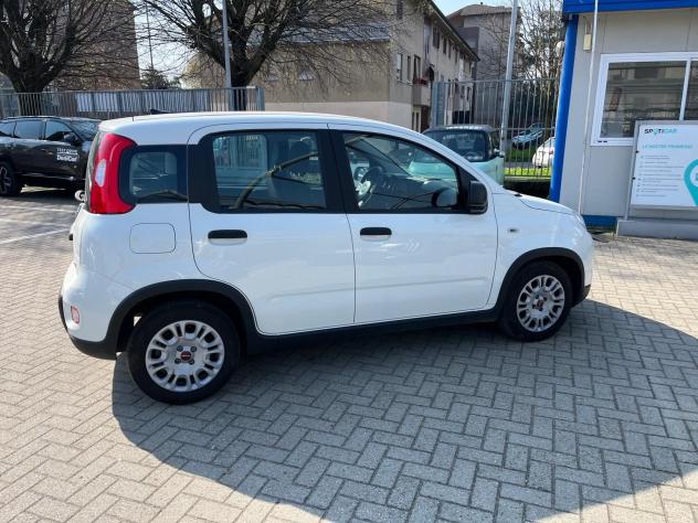 FIAT Panda 1.0 FireFly 70cv S&S Hybrid - Foto 6