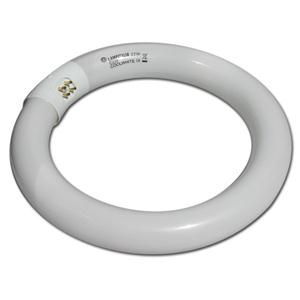 Circolina 22w Attacco Interno Fredda D: 17,5