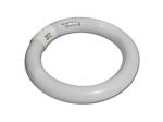 Circolina 22w Attacco Interno Fredda D: 17,5