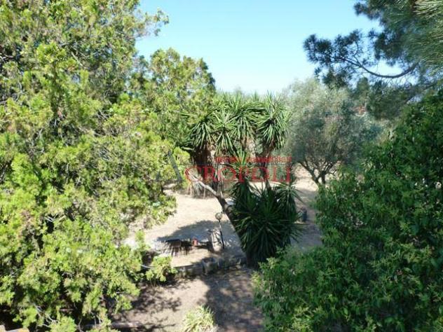 VILLA UNIFAMILIARE ANGUILLARA-CENTRO - VIA COLLE BIADARO - Foto 3