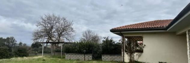 Immobile in asta di 454 m² con più di 5 locali in vendita a Viterbo - Foto 5