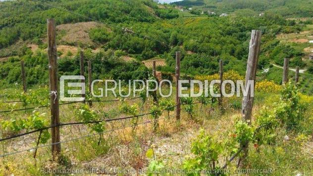 Terreno di 10767 mq  in vendita a Acri - Rif. 4560392
