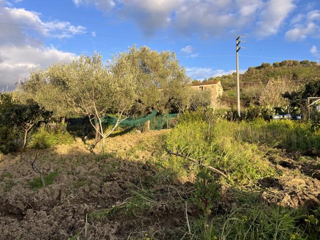 Agricolo in Via Molino Vecchio - Foto 5