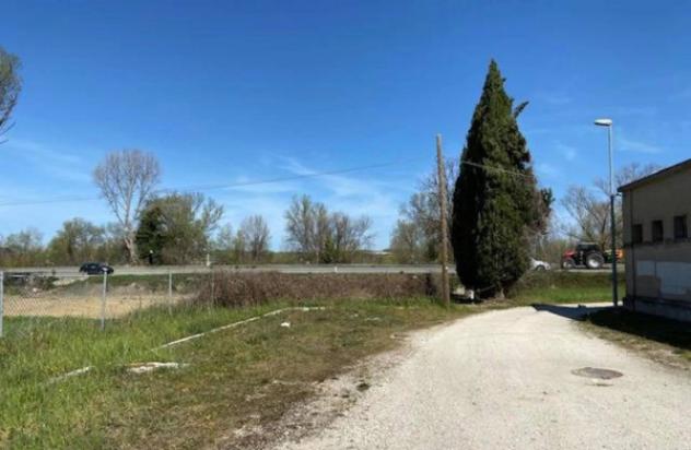 Immobile in asta di 12029 m² in vendita a Montelabbate - Foto 4