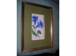QUADRO 1