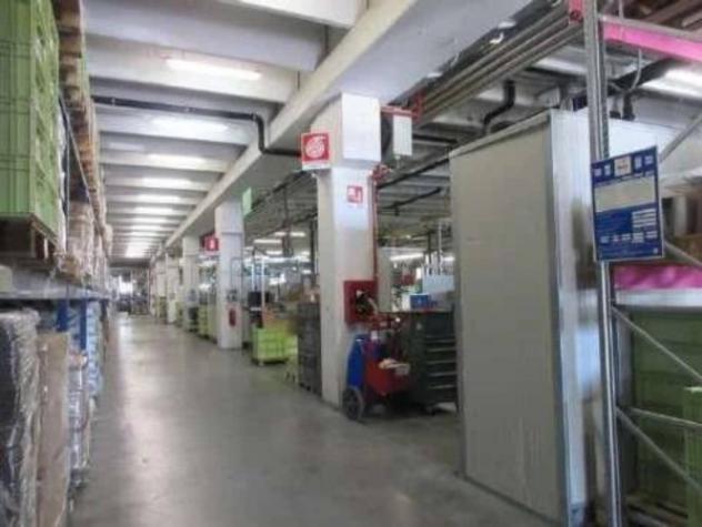 Immobile in asta di 7880 m² in vendita a Isola Vicentina - Foto 14