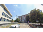 Stanza singola in trilocale con giardino privato