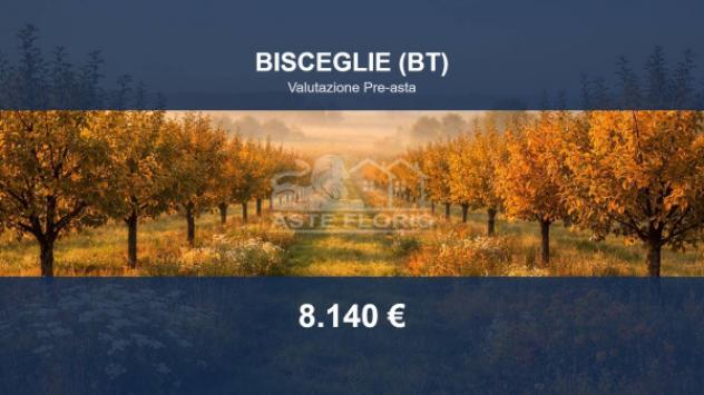 Immobile in asta di 4642 m² in vendita a Bisceglie
