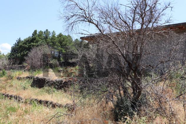 Terreno in vendita a Castiglione di Sicilia - Foto 7
