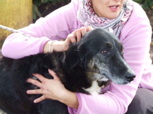 NINFA, bella e socievole - Foto 3
