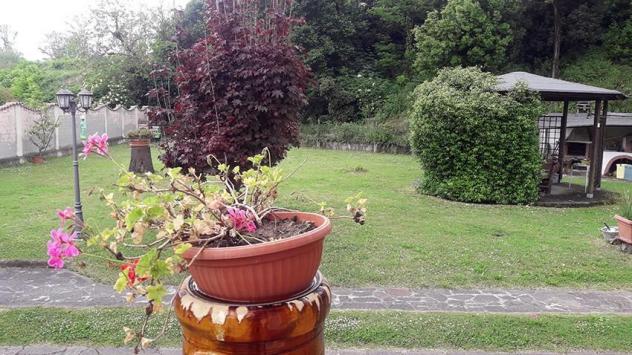 Casa semindipendente in vendita a Avenza - Carrara 344 mq Rif: 896464 - Foto 2