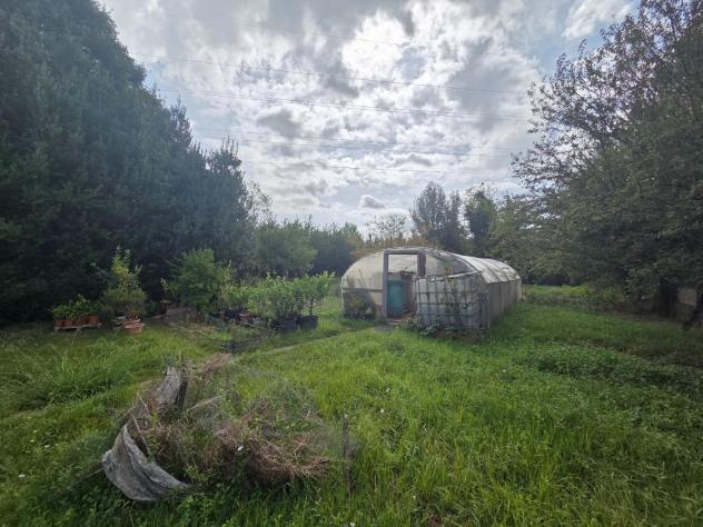 Annesso agricolo in vendita a Castelfranco di Sotto 2600 mq Rif: 1353276 - Foto 4