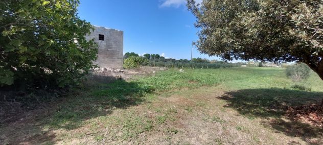 CON CASOLARE – AMPIA CAMPAGNA - Foto 5