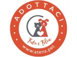 PART- TIME 1000 €