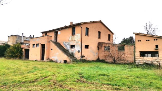 Controguerra Casolare con ampio terreno pianeggiante
