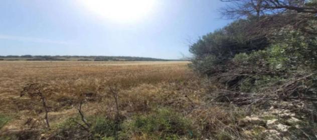 Immobile in asta di 584352 m² in vendita a Ispica - Foto 14