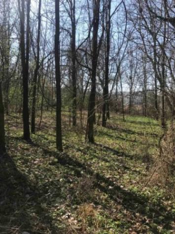Immobile in asta di 18050 m² in vendita a Poggibonsi - Foto 2