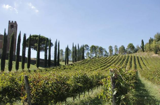 Terra e Accoglienza in Toscana - Foto 3