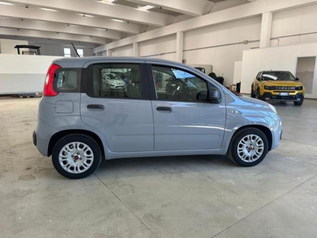 FIAT Panda 1.0 FireFly S&S Hybrid Easy rif. 23234213 - Foto 7