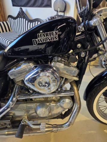 HARLEY-DAVIDSON 883 Sportster XL 883 rif. 24094172