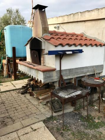 TERRENO AGRICOLO di 1 vani e di 1000 mq (FOLLONICA) rif. ORTOFOL - Foto 6