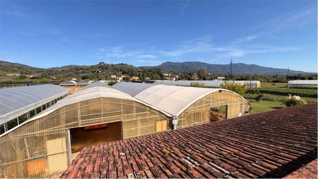 Fattoria LUCCA - Lucca, Moriano – Ampia Proprietà Agricola con Casale, Capanna e 1,6 Ettari di Terreno - Foto 18