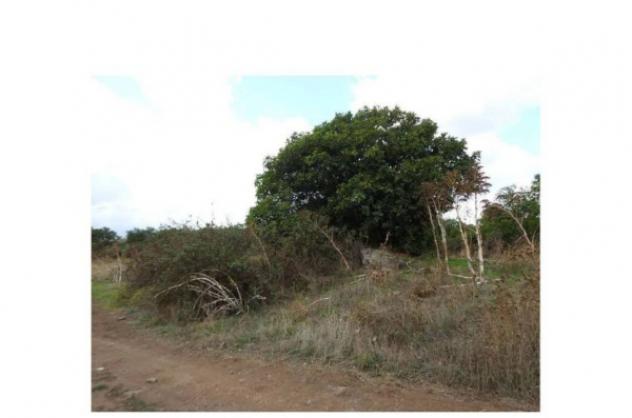 Immobile in asta di 235452 m² in vendita a Birori - Foto 9