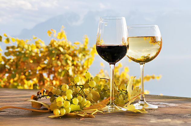 Wine Bar Milano Sempione