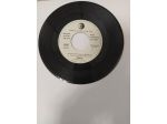 R84 -  WILMA GOICH / RIBELLI