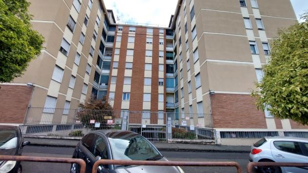 Trilocale in affitto a Biella - Foto 2